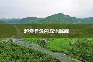 超然自逸的成语解释