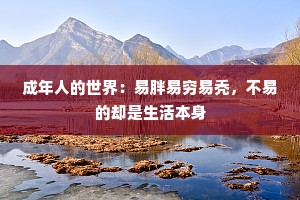 成年人的世界：易胖易穷易秃，不易的却是生活本身