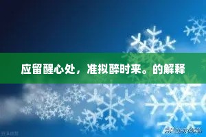 应留醒心处，准拟醉时来。的解释