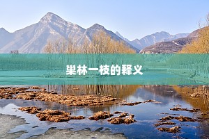 巢林一枝的释义