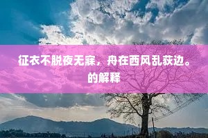 征衣不脱夜无寐，舟在西风乱荻边。的解释