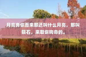 月亮奔你而来那还叫什么月亮，那叫陨石，来取你狗命的。