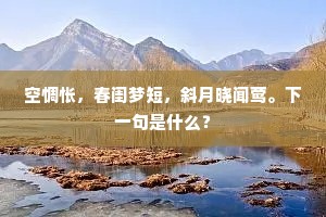 空惆怅，春闺梦短，斜月晓闻莺。下一句是什么？