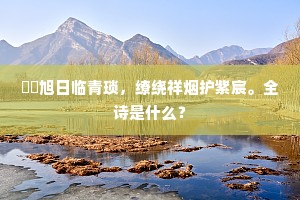曈昽旭日临青琐，缭绕祥烟护紫宸。全诗是什么？
