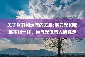关于努力和运气的关系:努力就和收集木材一样，运气就像有人给你递了火。