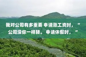 我对公司有多重要 申请涨工资时，“公司没你一样转。 申请休假时，“你休假了这些工作谁来干?"