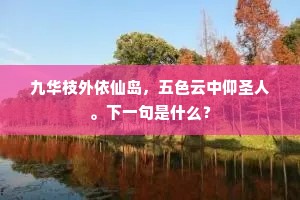 九华枝外依仙岛，五色云中仰圣人。下一句是什么？