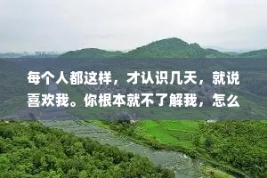 每个人都这样，才认识几天，就说喜欢我。你根本就不了解我，怎么可能喜欢我?但我又不能否认你真的很有眼光。