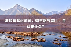 渐转晴晖迟蔼蔼，微生阳气始礥礥。全诗是什么？