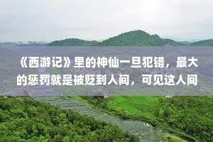 《西游记》里的神仙一旦犯错，最大的惩罚就是被贬到人间，可见这人间有多苦。