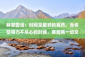林徽因说：时间是最好的良药，当你觉得力不从心的时候，莫如将一切交付给时间，它会让你把该忘记的都忘记，让你从一个故事走进另一个故事里。