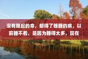 没有晚起的命，却得了晚睡的病，以前睡不着，是因为睡得太多，现在睡不着，是因为想得太多。