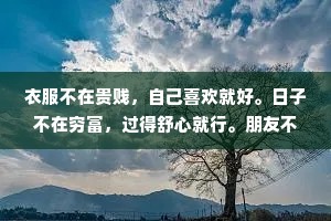 衣服不在贵贱，自己喜欢就好。日子不在穷富，过得舒心就行。朋友不在多少，一两知已足矣。幸福没有标准答案，快乐不止一条途径。
