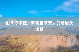 山头冻杀雀，梦魂自来去。的意思及出处