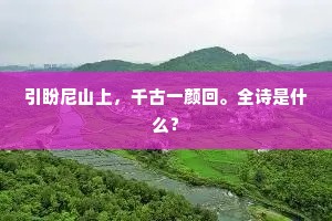 引盼尼山上，千古一颜回。全诗是什么？
