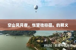 空山风月夜，怅望独徘徊。的释义