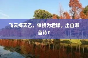 飞云探天乙，铁桥为君媒。出自哪首诗？