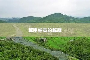 称臣纳贡的解释