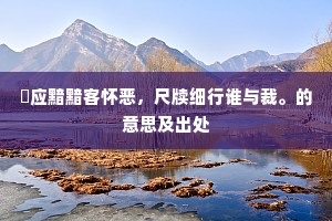 祇应黯黯客怀恶，尺牍细行谁与裁。的意思及出处