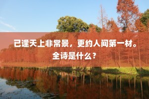 已逢天上非常景，更约人间第一材。全诗是什么？