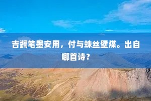 吉蠲笔墨安用，付与蛛丝壁煤。出自哪首诗？