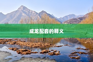 成龙配套的释义