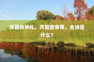 终藉叔孙礼，方知皇帝尊。全诗是什么？