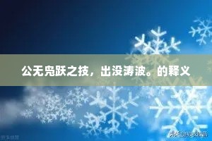 公无凫跃之技，出没涛波。的释义