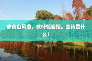 昨夜山风急，吹叶惊客馆。全诗是什么？
