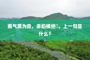 雨气蒸为霞，赤焰横绝巘。上一句是什么？