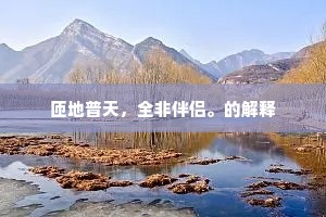 匝地普天，全非伴侣。的解释