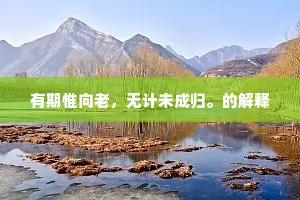 有期惟向老，无计未成归。的解释