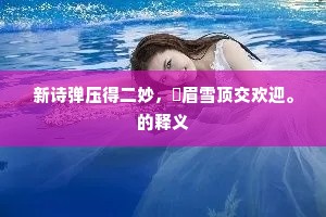 新诗弹压得二妙，厖眉雪顶交欢迎。的释义