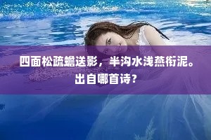 四面松疏蟾送影，半沟水浅燕衔泥。出自哪首诗？