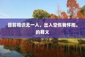 目前相识无一人，出入空伤我怀抱。的释义