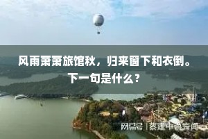 风雨萧萧旅馆秋，归来窗下和衣倒。下一句是什么？
