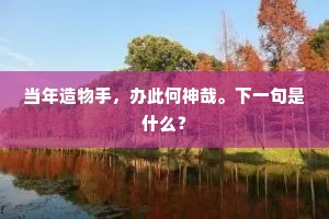 当年造物手，办此何神哉。下一句是什么？