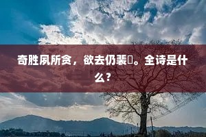 奇胜夙所贪，欲去仍裴佪。全诗是什么？