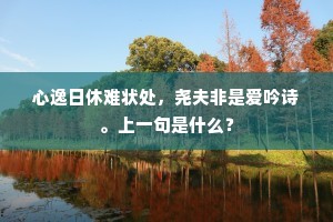心逸日休难状处，尧夫非是爱吟诗。上一句是什么？