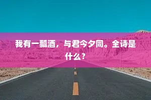 我有一瓢酒，与君今夕同。全诗是什么？