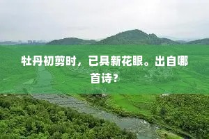 牡丹初剪时，已具新花眼。出自哪首诗？