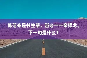 韩范亦是书生辈，岂必一一亲挥戈。下一句是什么？