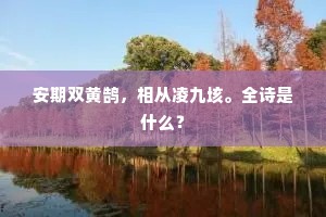 安期双黄鹄，相从凌九垓。全诗是什么？