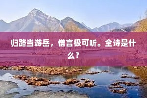 归路当游岳，僧言极可听。全诗是什么？
