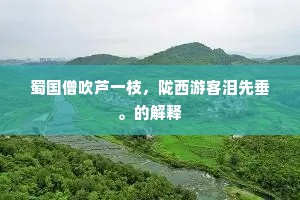 蜀国僧吹芦一枝，陇西游客泪先垂。的解释