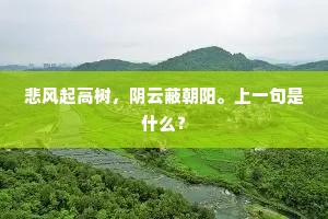 悲风起高树，阴云蔽朝阳。上一句是什么？