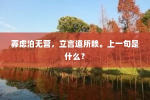 寡虑泊无营，立言道所赖。上一句是什么？