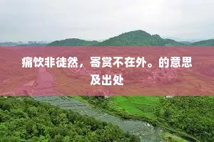 痛饮非徒然，寄赏不在外。的意思及出处