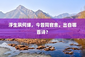 浮生夙何缘，今昔同官舍。出自哪首诗？