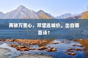 两骖万里心，双璧连城价。出自哪首诗？